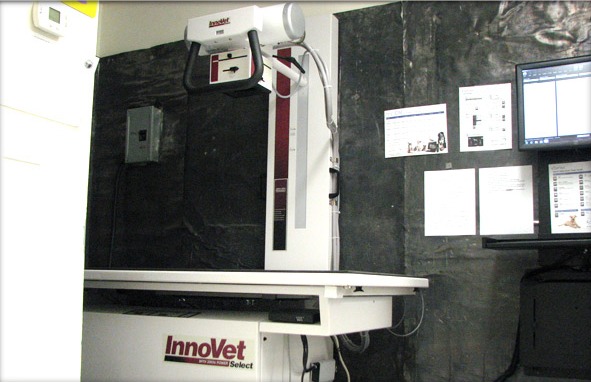 Digital Radiology System