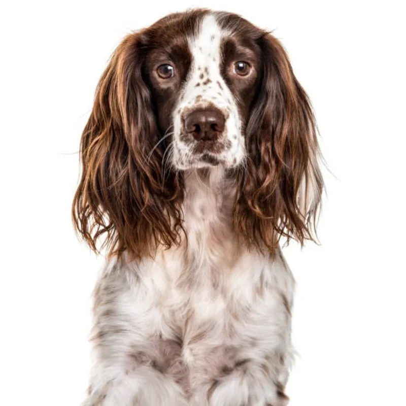 Kimberly Arthur Kimberly Arthur