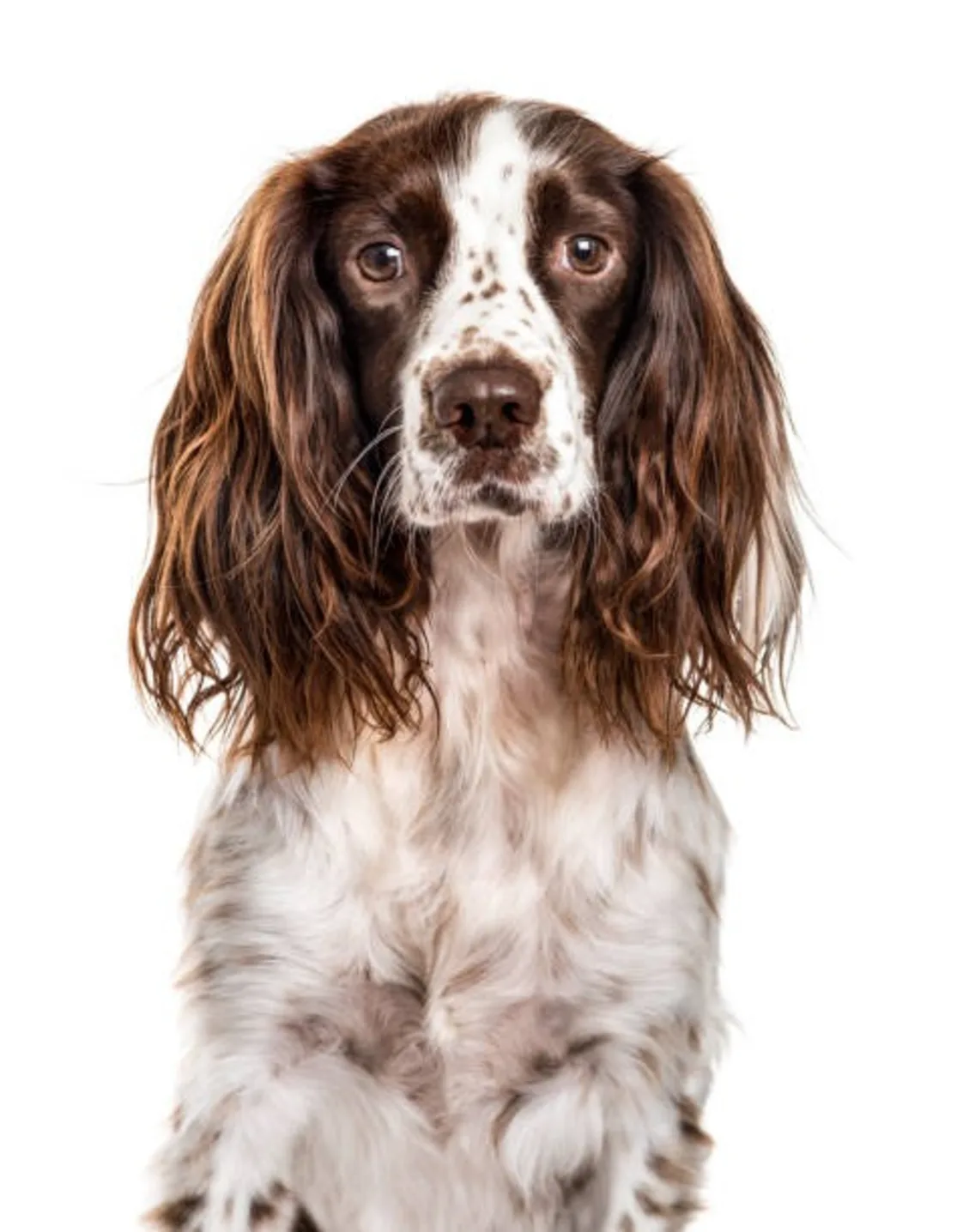 Kimberly Arthur Kimberly Arthur