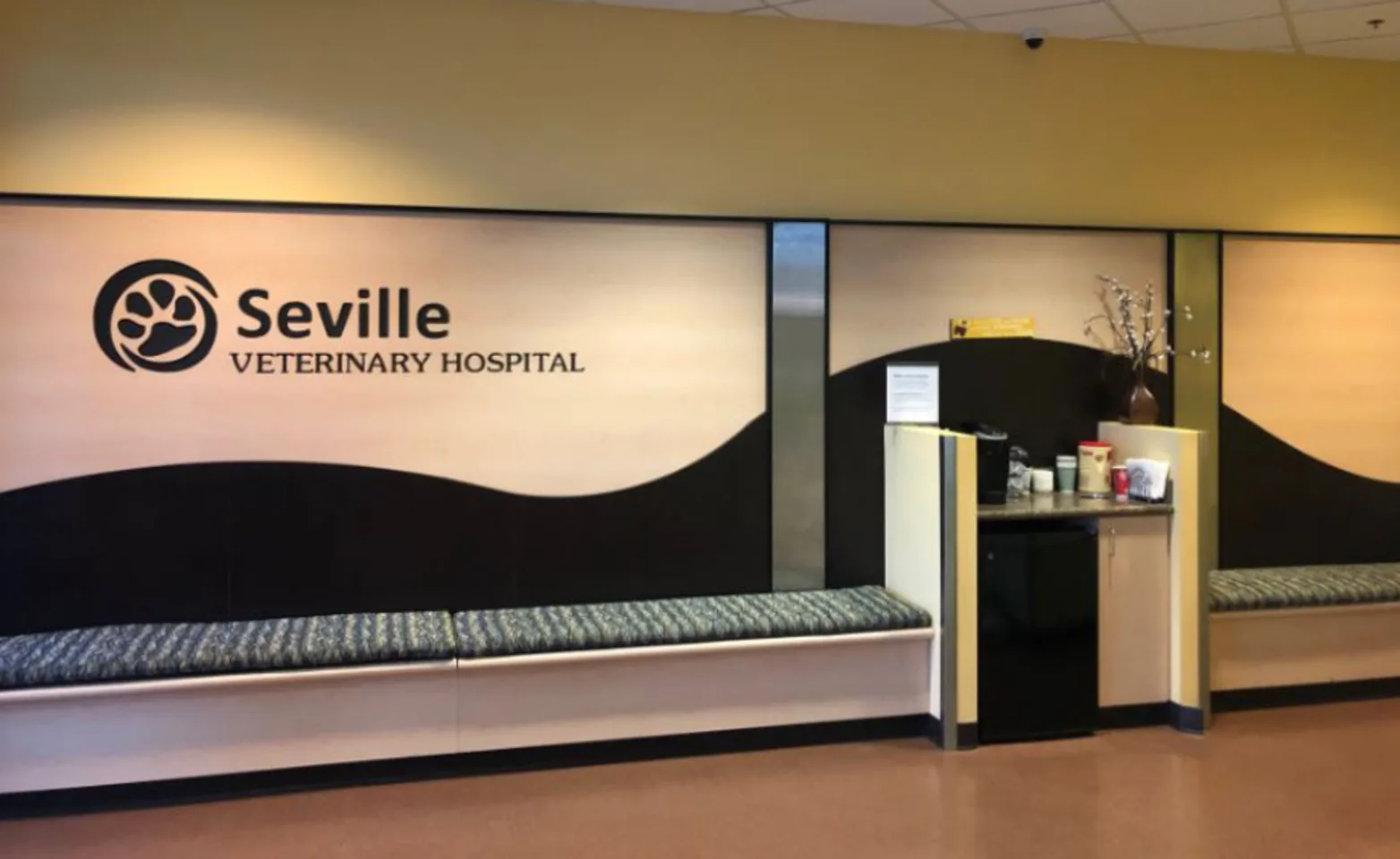 Seville Veterinary Hospital waiting area Seville Veterinary Hospital waiting area