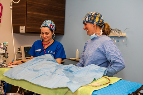 RVT and Veterinarian prepping for surgery