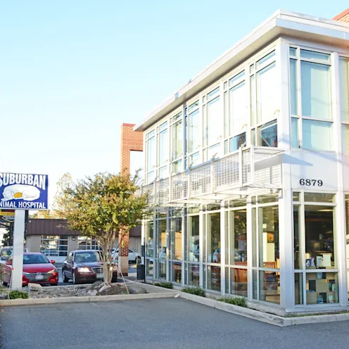 Front Of Clinic Front Of Clinic