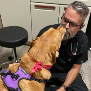 Staff petting a dog Staff petting a dog