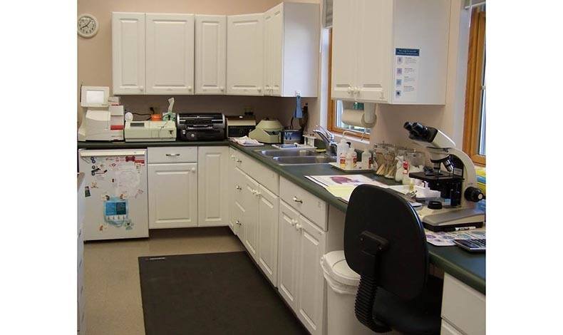 Marbletown Animal Hospital Treatment