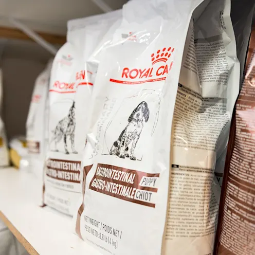 Dog food for sale at The Valley Veterinary Hospital Dog food for sale at The Valley Veterinary Hospital