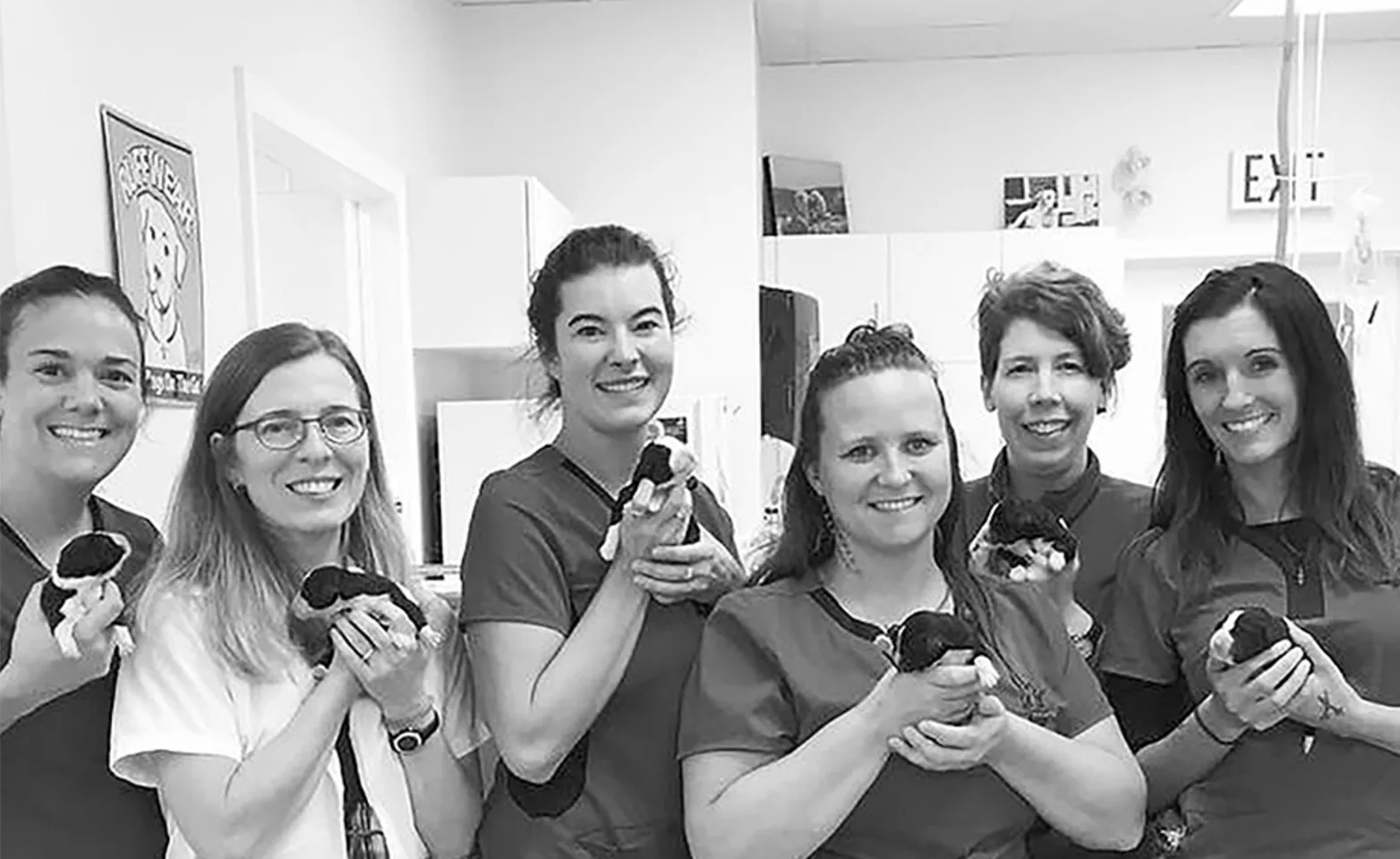 Staff team holding puppies and smiling