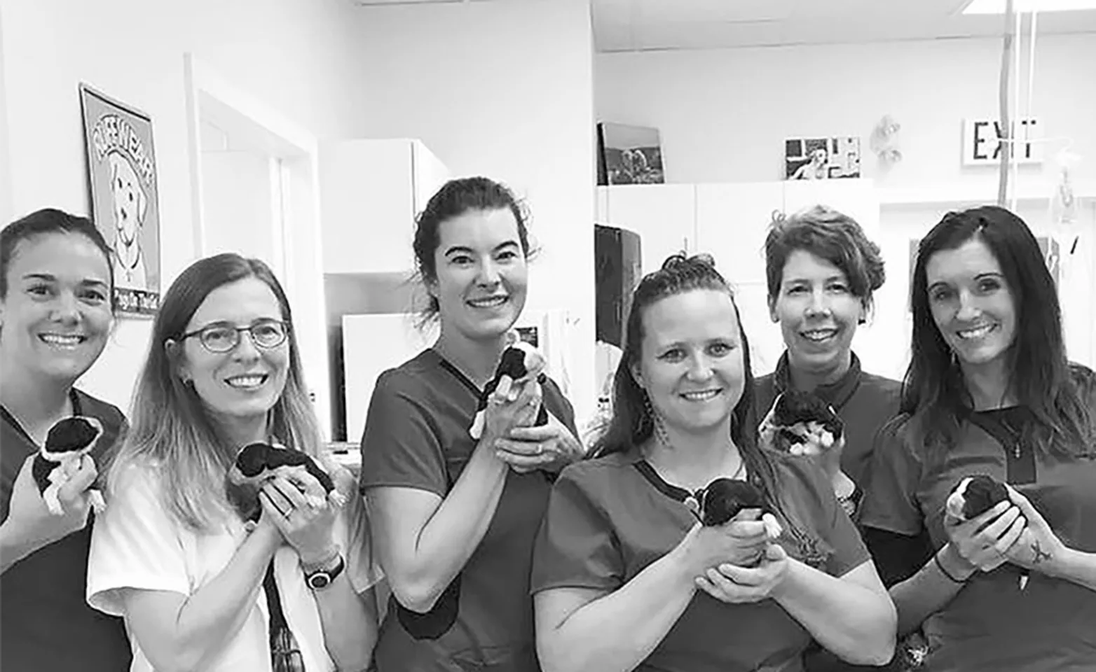 Staff team holding puppies and smiling Staff team holding puppies and smiling