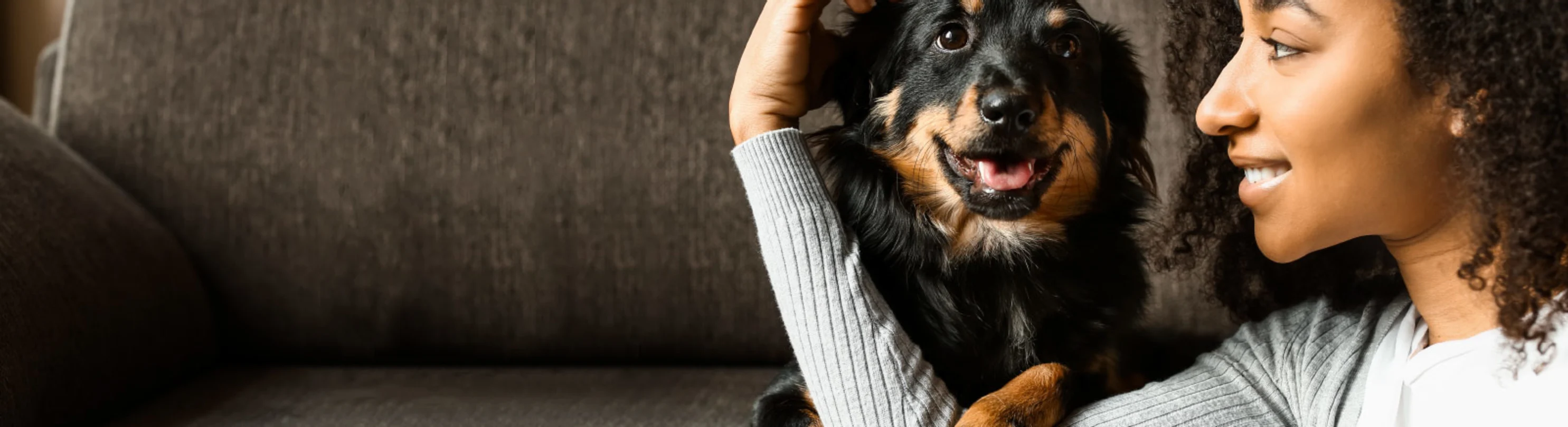 A woman cuddling with a black and brown dog on a couch