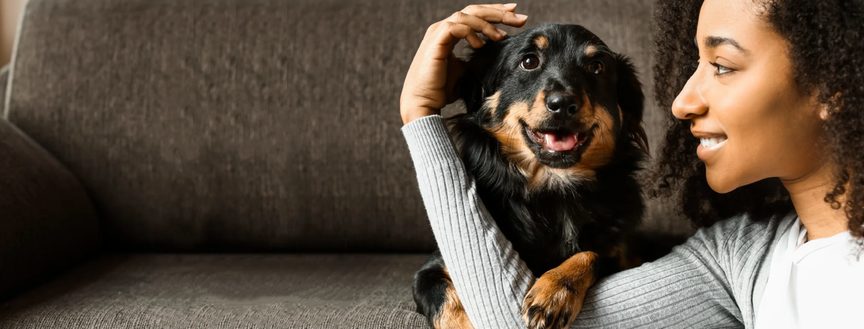 A woman cuddling with a black and brown dog on a couch A woman cuddling with a black and brown dog on a couch