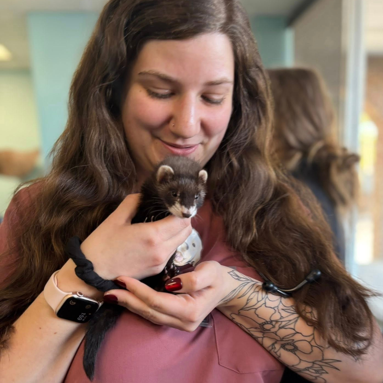 Staff member holding a ferret