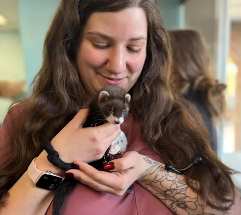 Staff member holding a ferret Staff member holding a ferret
