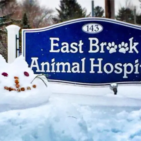 East Brook Animal Hospital Exterior Sign Covered in the Snow East Brook Animal Hospital Exterior Sign Covered in the Snow