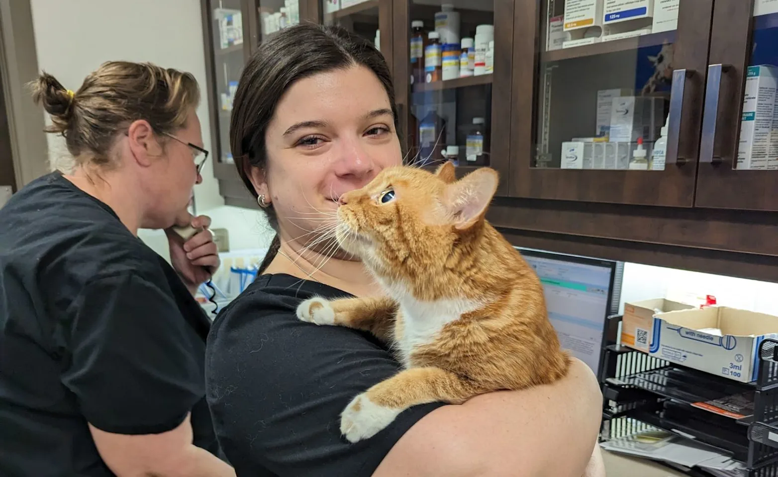 Staff holding cat Staff holding cat