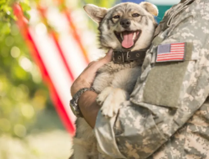 Military holding a dog Military holding a dog