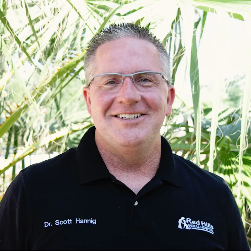 Dr. Scott Hannig from Desert Hills Animal Hospital Dr. Scott Hannig from Desert Hills Animal Hospital