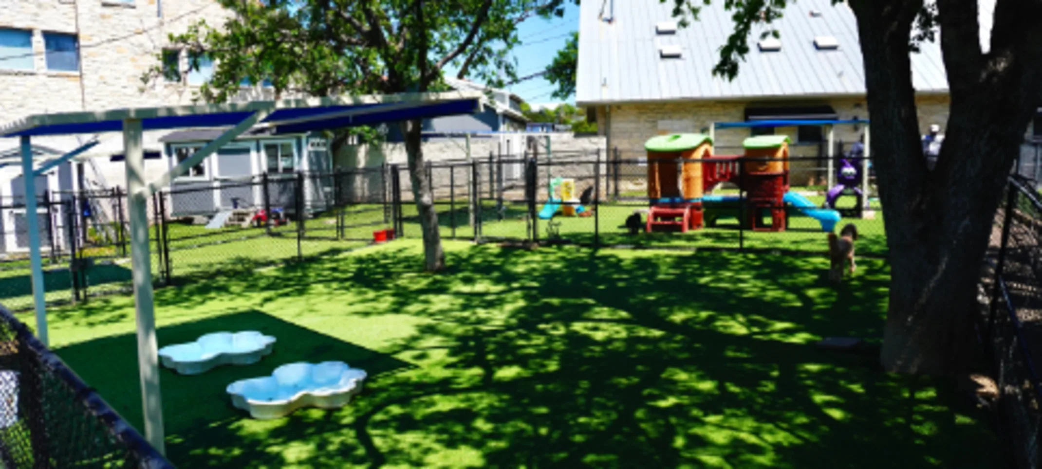 Boarding & Daycare Area at Hill Country Animal Hospital Boarding & Daycare Area at Hill Country Animal Hospital