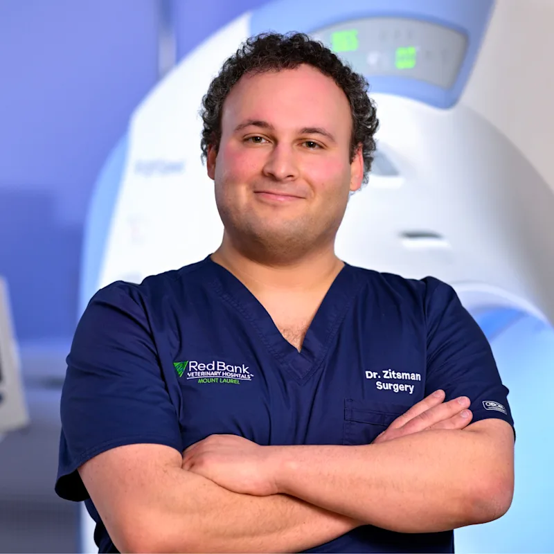 Jonah Zitsman Jonah Zitsman