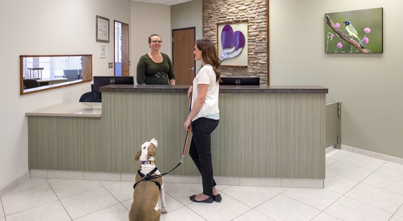 Client with a dog speaking with a desk representative at AVES
