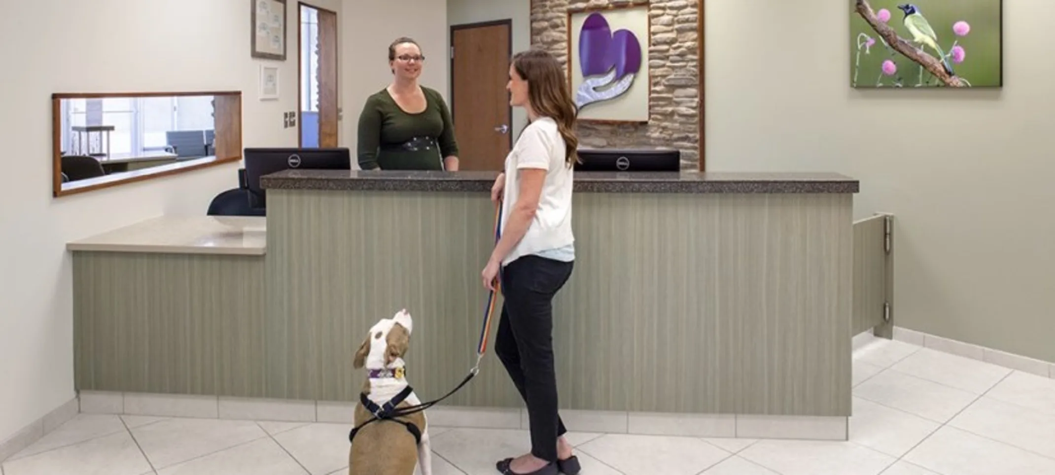 Client with a dog speaking with a desk representative at AVES Client with a dog speaking with a desk representative at AVES