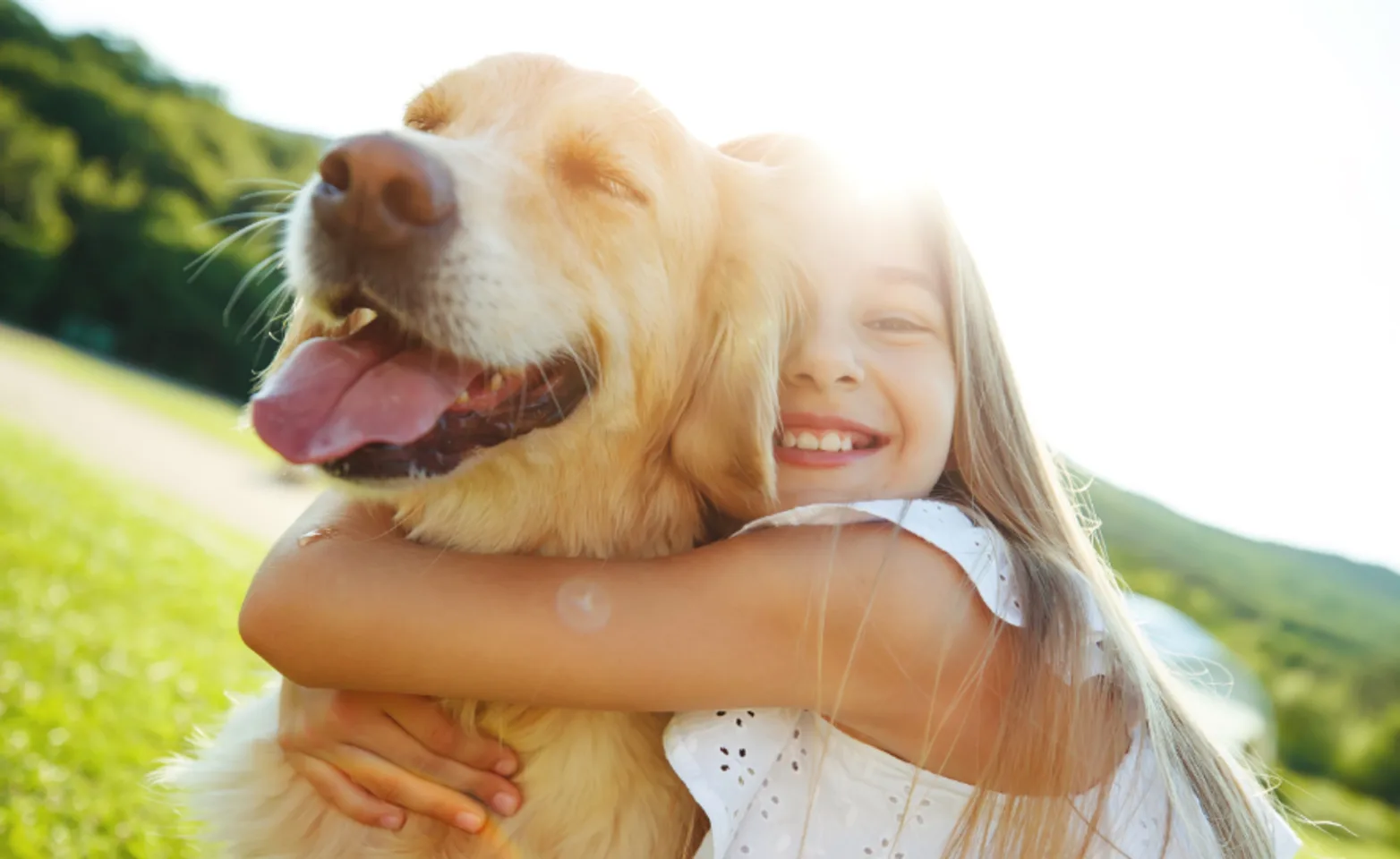 Girl Hugging Golden Retriever Girl Hugging Golden Retriever