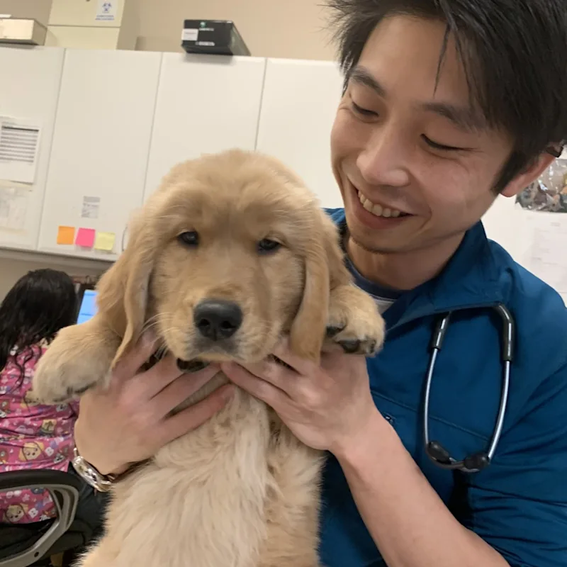 Dr. Kirk Kasuya Dr. Kirk Kasuya