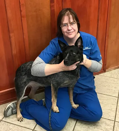 Denise Kelley Denise Kelley