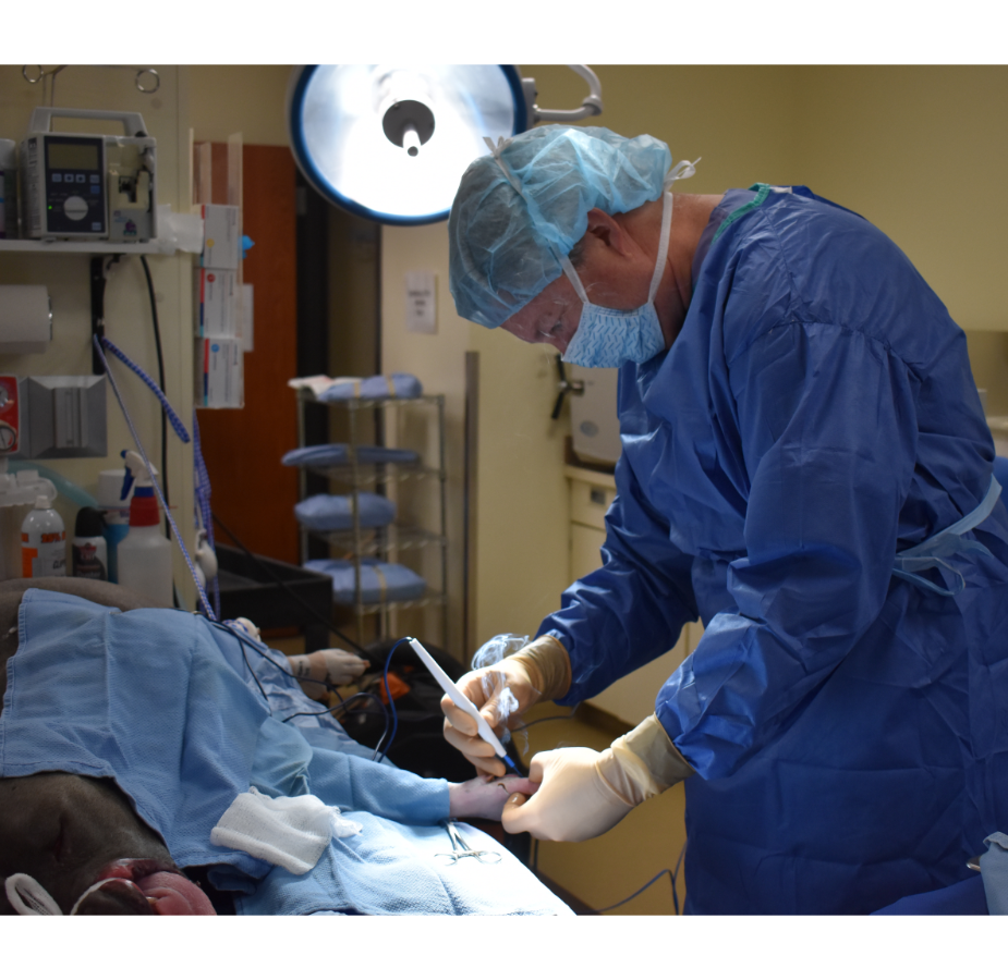 Dr. Wilson Performing Surgery