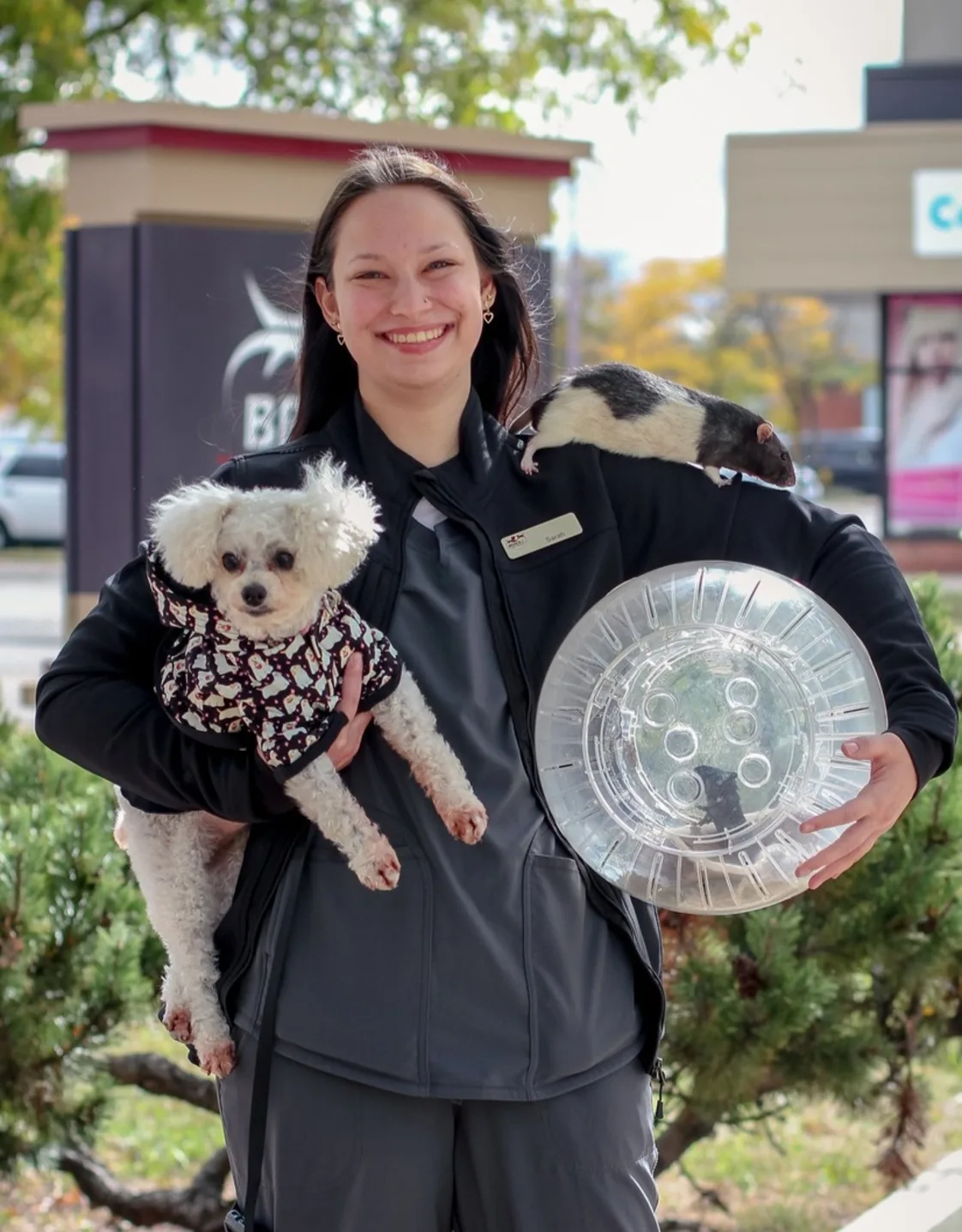 Outline of puppy Outline of puppy