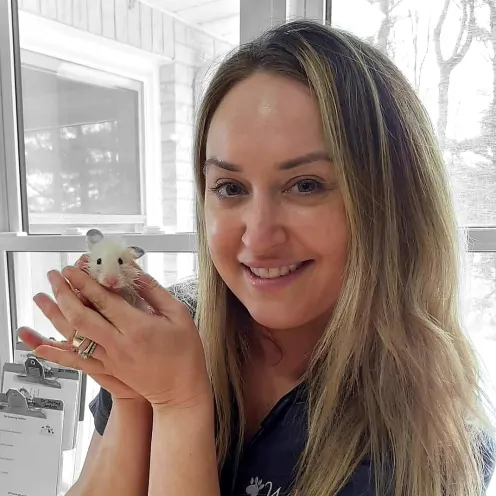 Williamstown Veterinary Services staff member Rosetta holding a small mouse