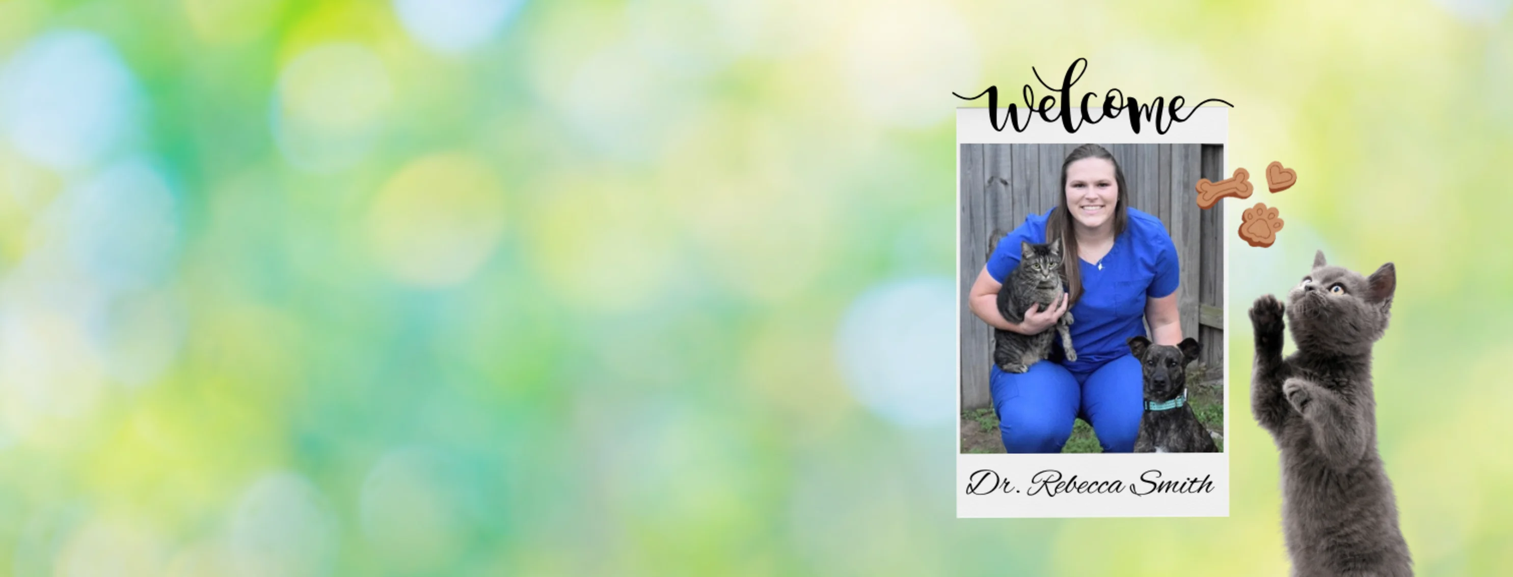 Welcome Dr. Rebecca Smith to Animal Hospital of Denison Welcome Dr. Rebecca Smith to Animal Hospital of Denison