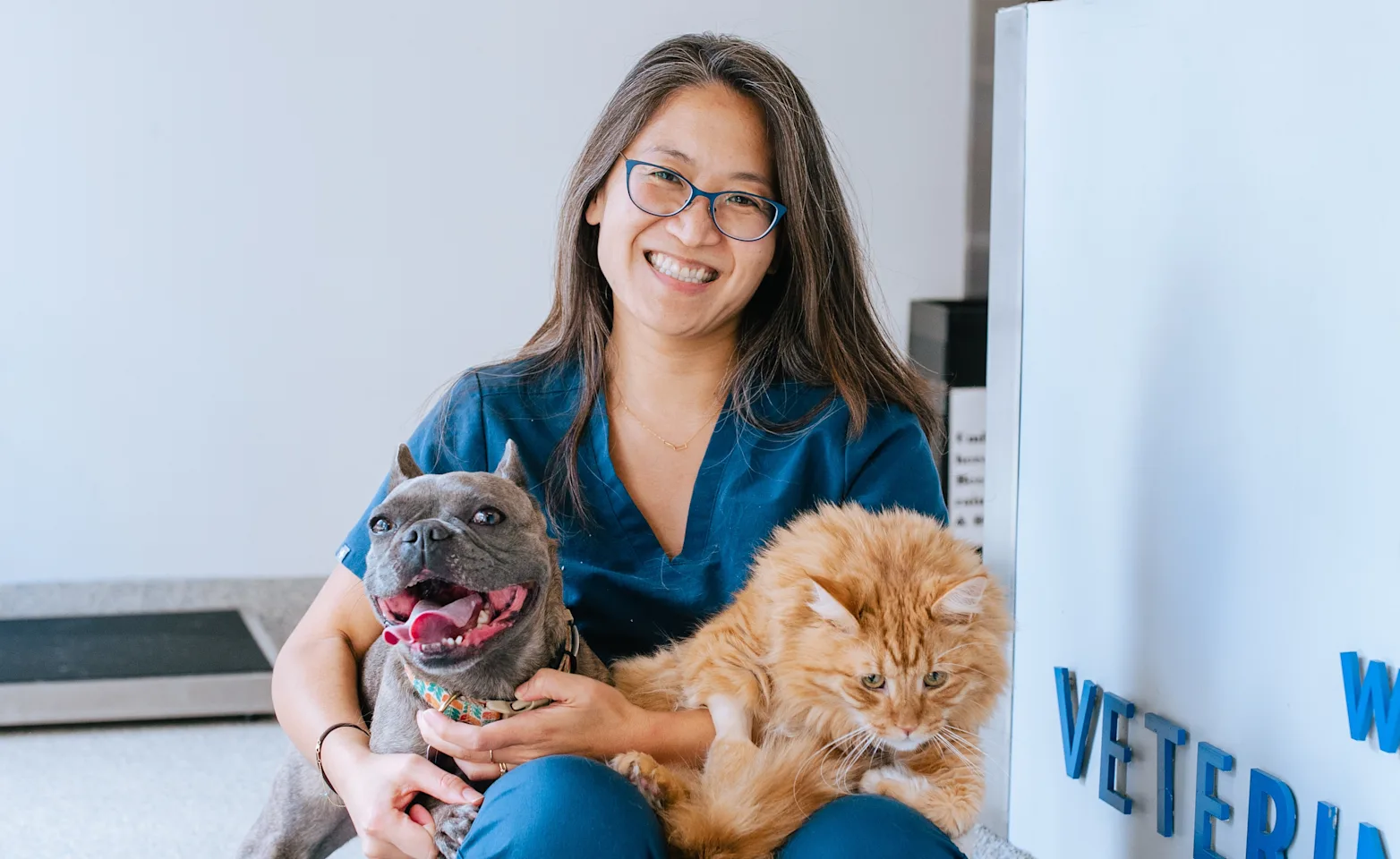 A veterinary professional sitting and smiling with a large orange cat and a happy dog in her lap A veterinary professional sitting and smiling with a large orange cat and a happy dog in her lap