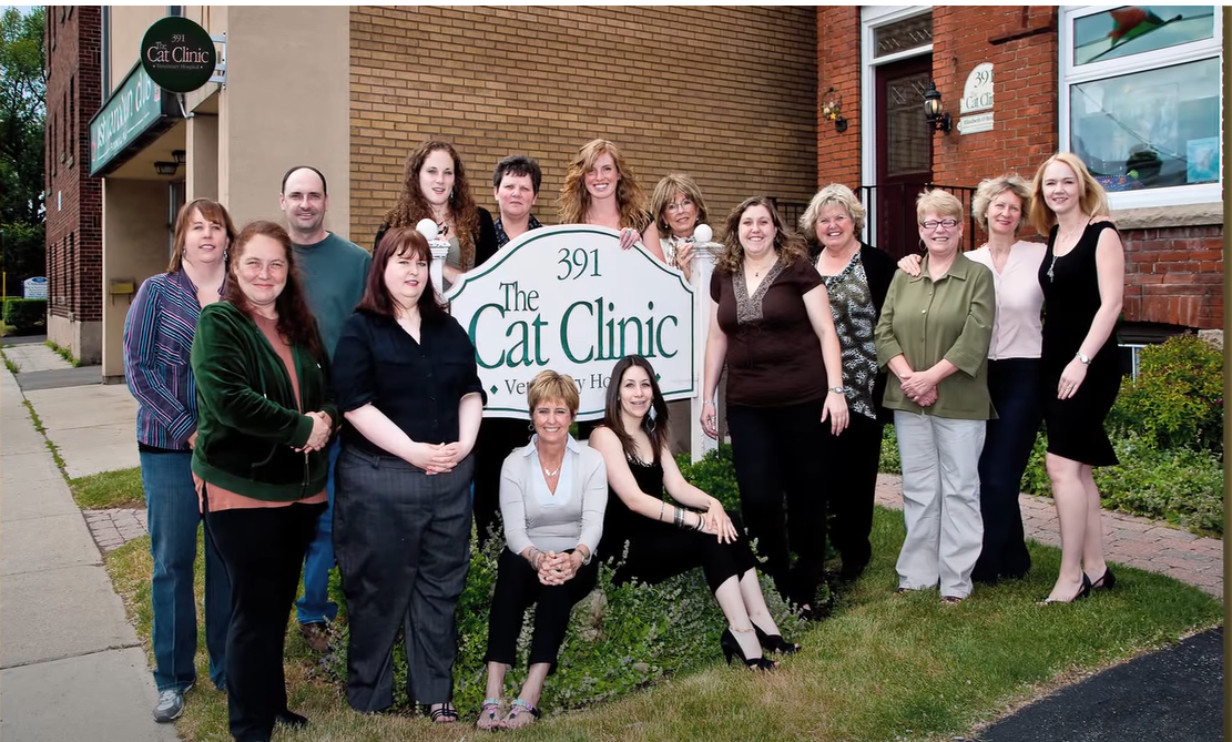 Veterinarian in Hamilton, Ontario The Cat Clinic