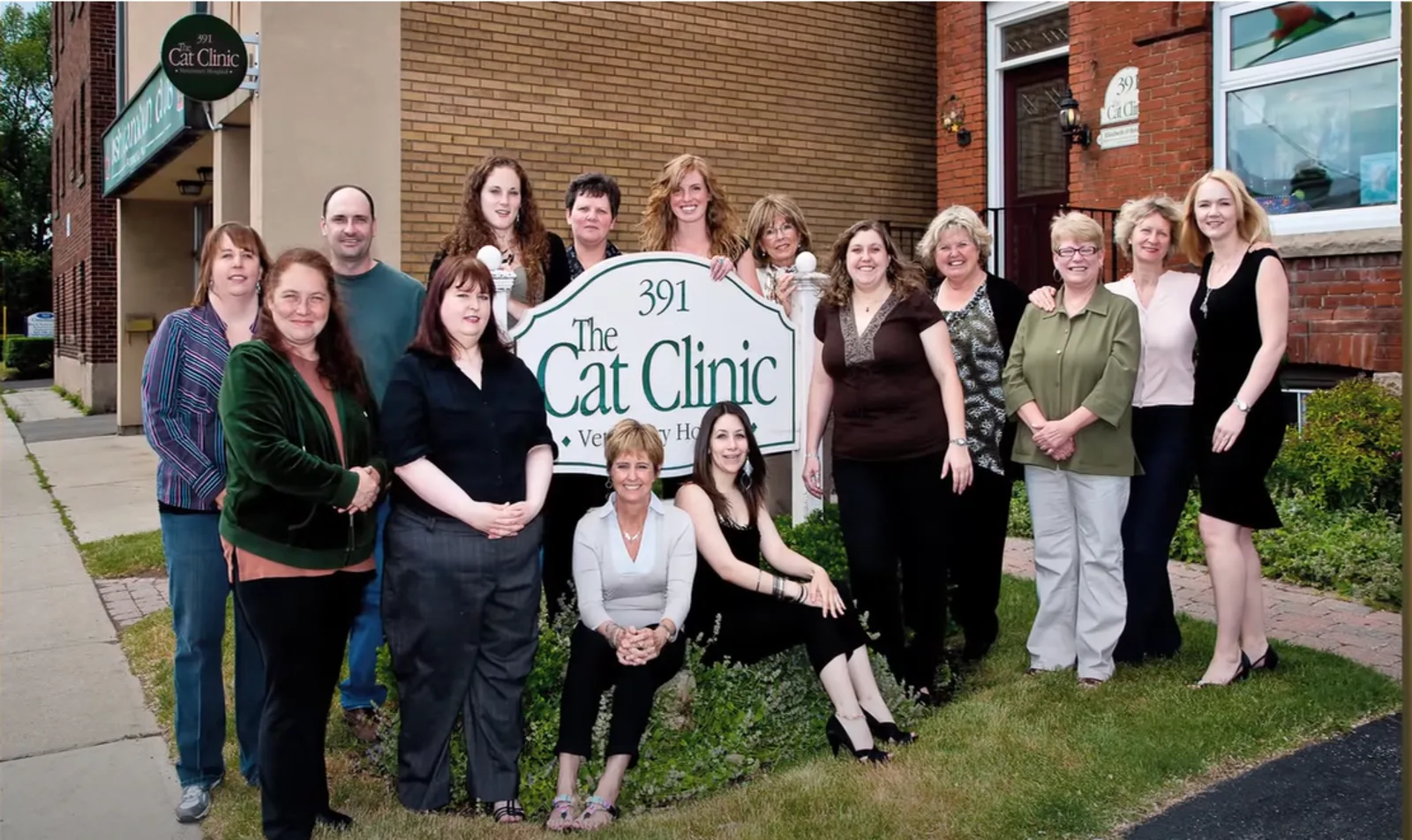 Thumbnail for video highlighting The Cat Clinic