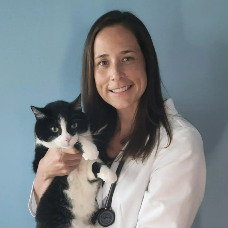 Nicole R. Stalnaker at Parkersburg Veterinary Hospital Nicole R. Stalnaker at Parkersburg Veterinary Hospital