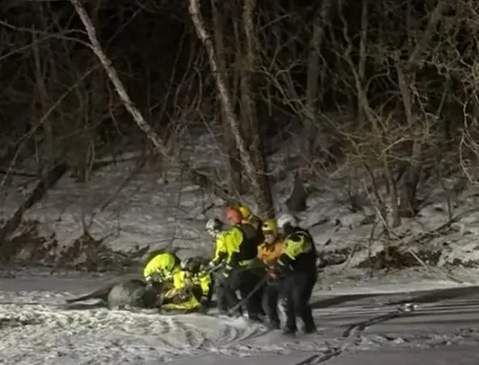 Multiple crews rescue donkey from pond in Cranberry Township Multiple crews rescue donkey from pond in Cranberry Township