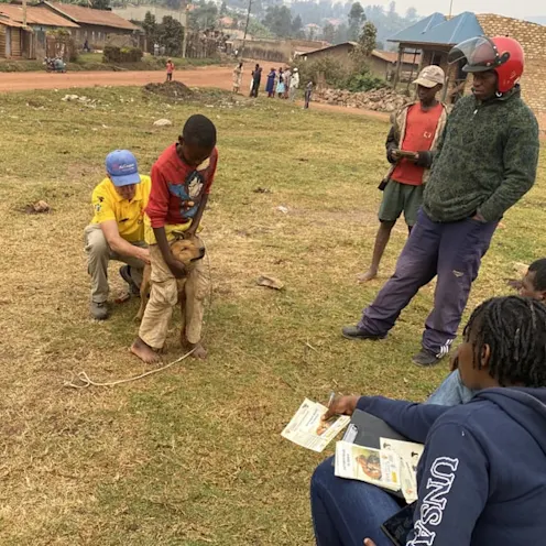 People watching Dr. Joe helping a dog with a kid assisting People watching Dr. Joe helping a dog with a kid assisting