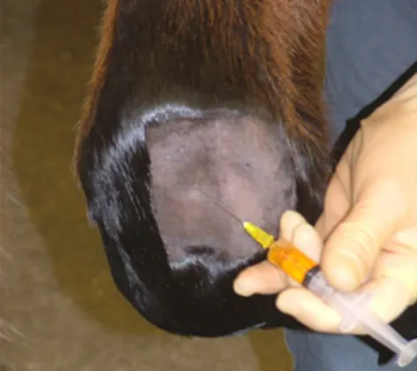 IRAP Harvesting & Injecting IRAP Harvesting & Injecting