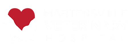 Martensville Veterinary Hospital Logo Martensville Veterinary Hospital Logo