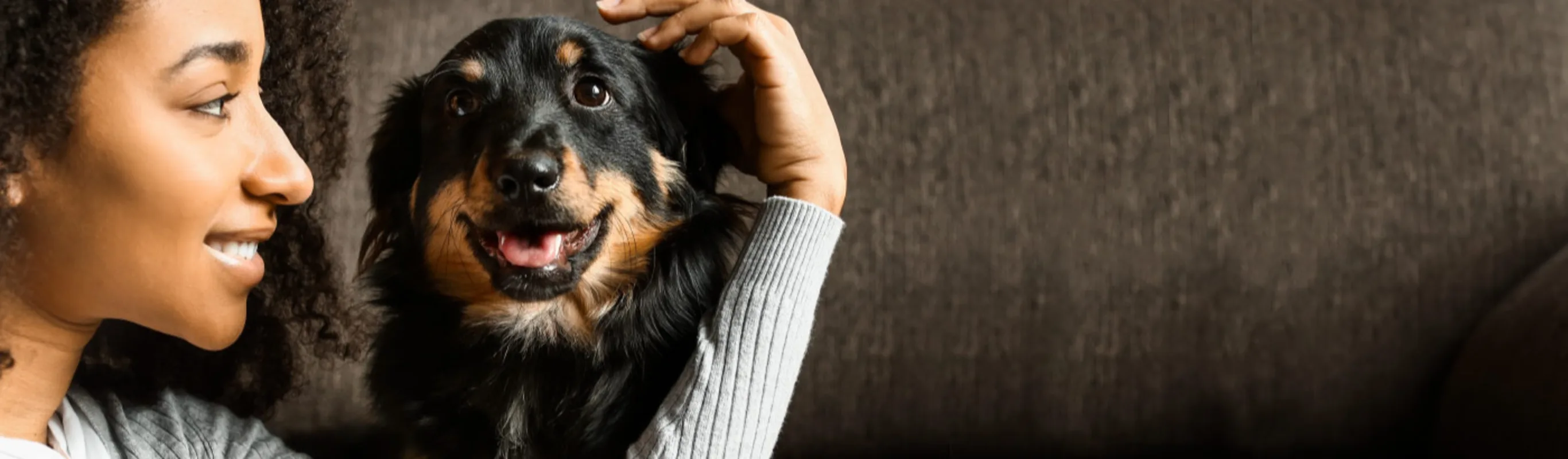 Woman and black and tan Dachshund on the couch