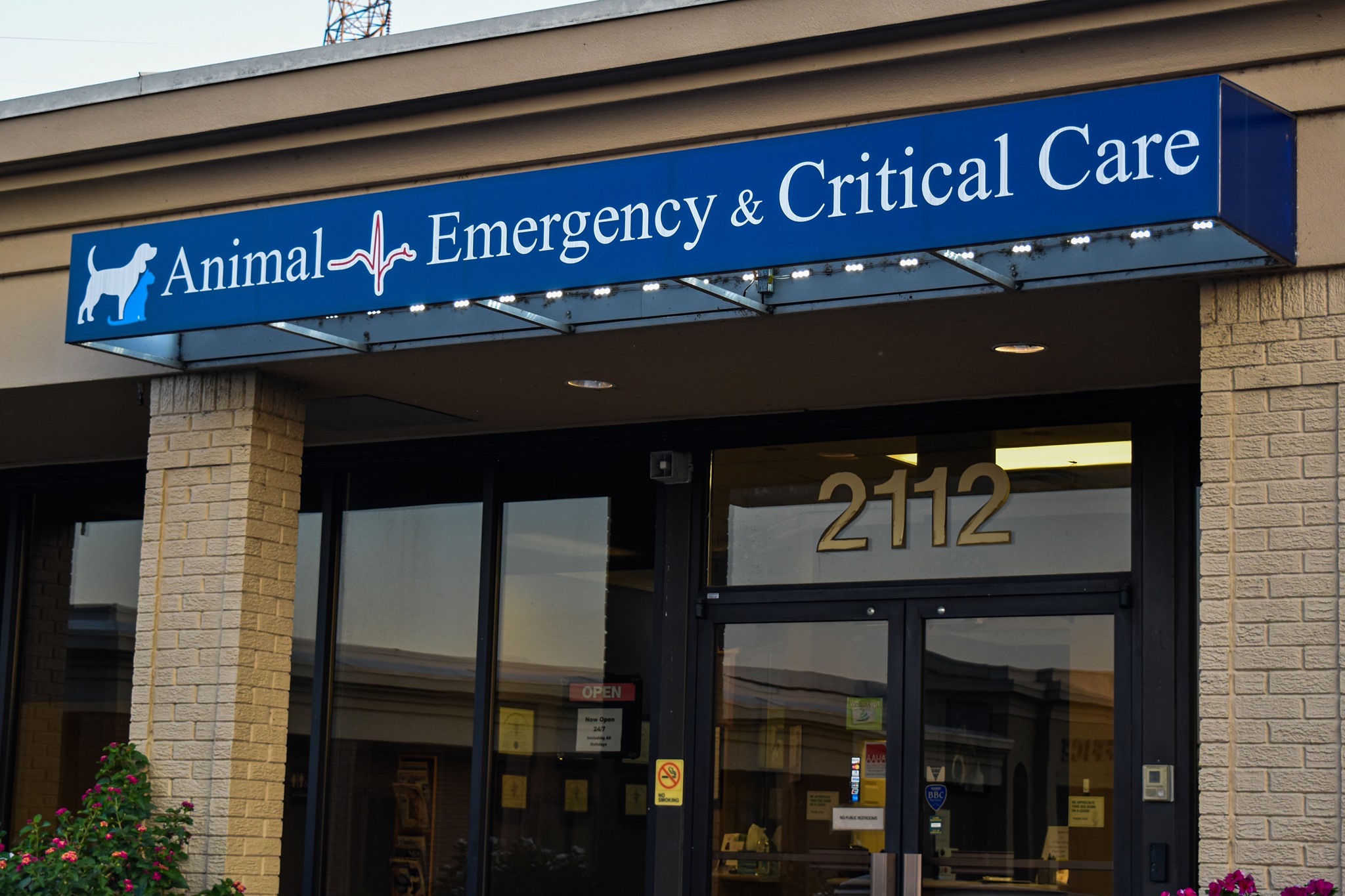 Homepage | Animal Emergency & Critical Care