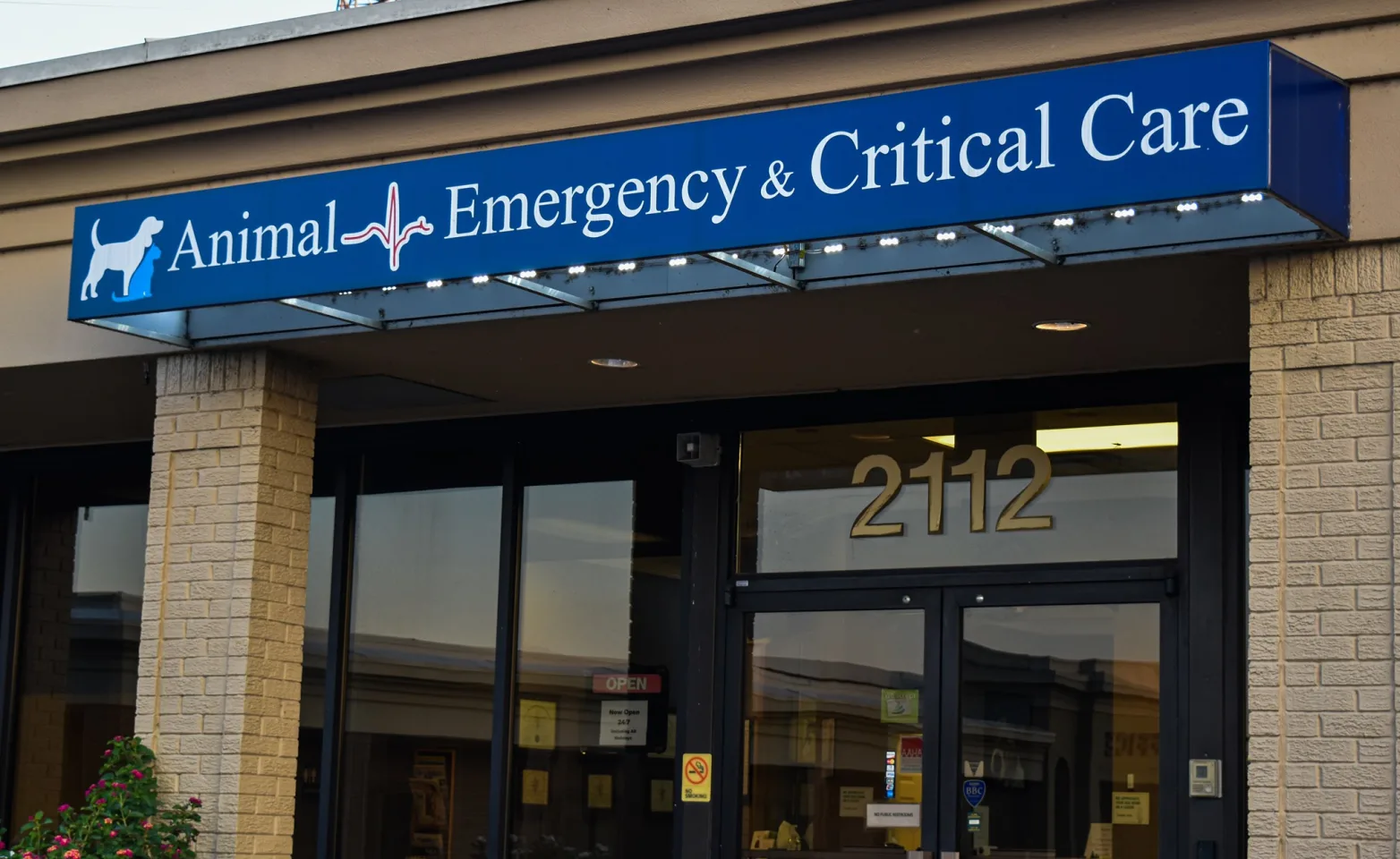 Animal Emergency & Critical Care, an emergency veterinarian in Huntsville, Alabama