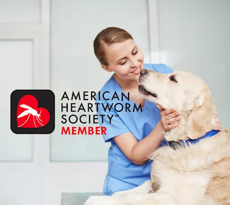 Women with Dog American Heartworm Logo Women with Dog American Heartworm Logo