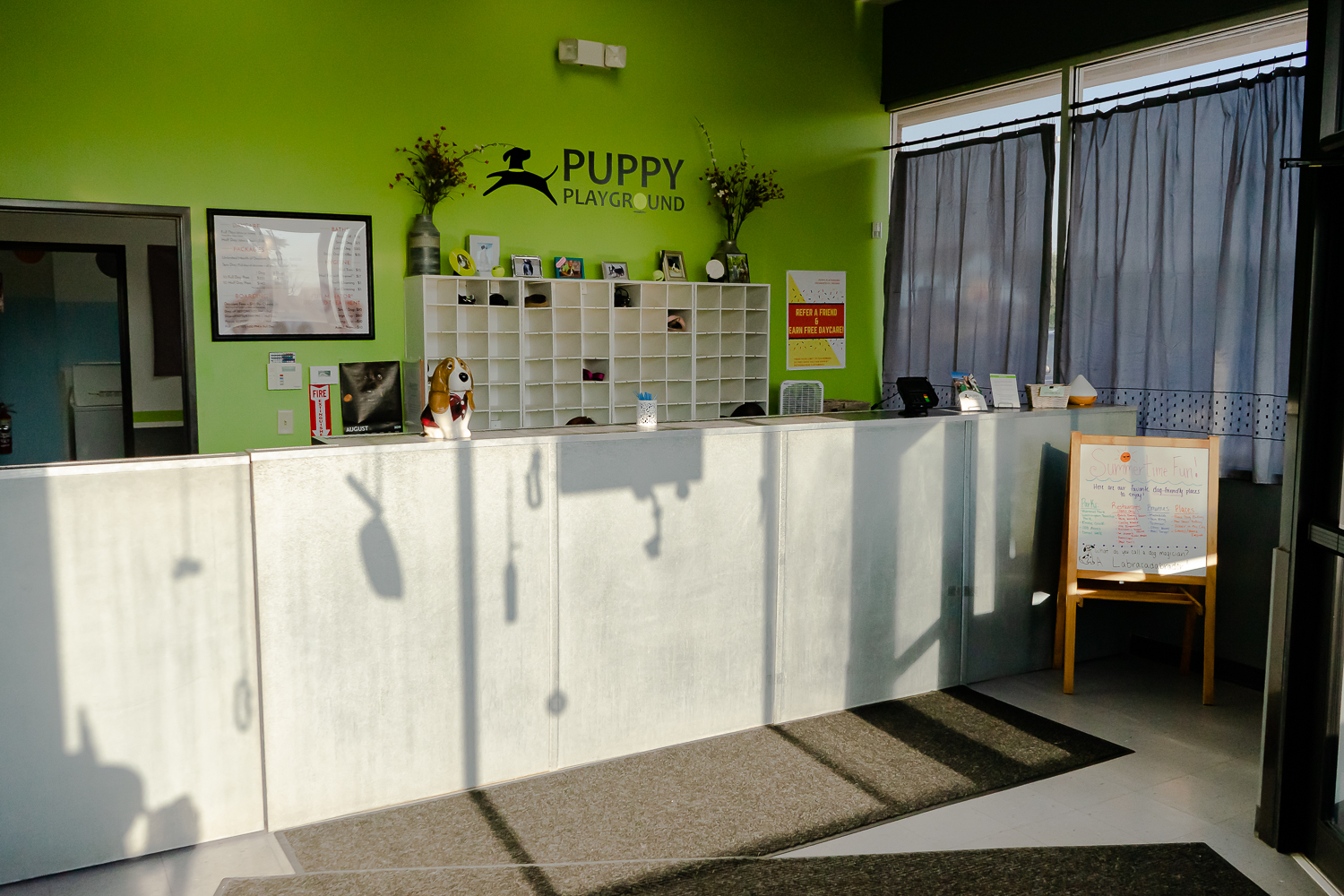 Front Desk at Puppy Playground
