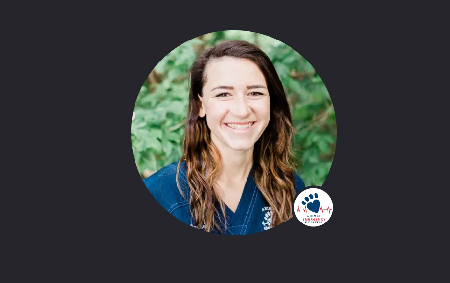 Careers Animal Emergency Hospital