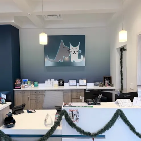 Reception Desk Reception Desk