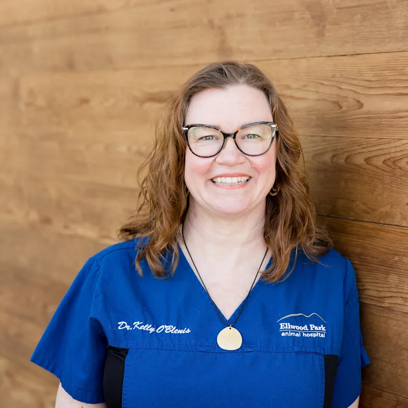 Dr. Kelly O’Blenis Dr. Kelly O’Blenis