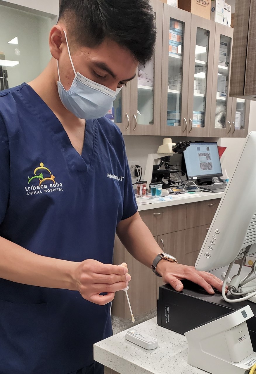 Staff taking samples.