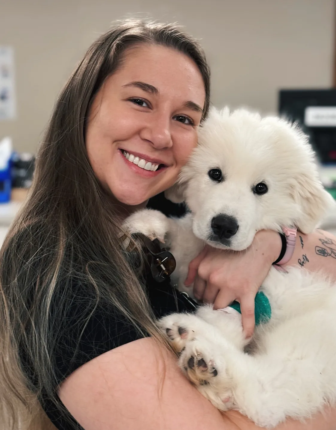 Madeline Heimer, CVA Madeline Heimer, CVA