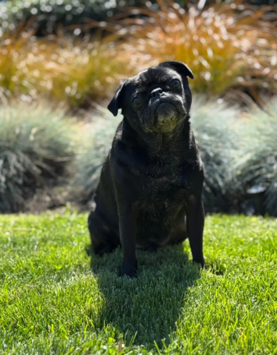 Dr. Clinton Doering Dr. Clinton Doering