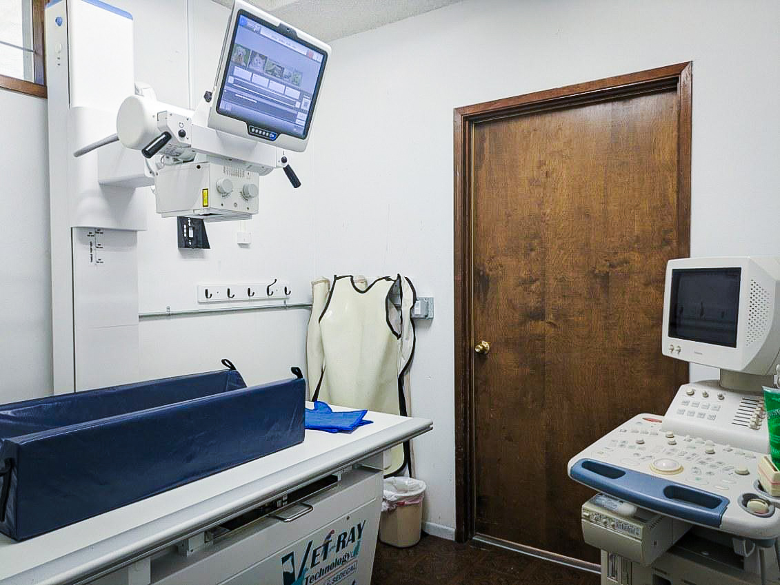 X-ray area area at Canterbury Animal Hospital
